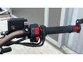 BENELLI LEONCINO 500 2019/3 - 19