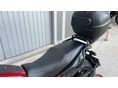 BENELLI LEONCINO 500 2019/3 - 21