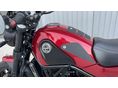BENELLI LEONCINO 500 2019/3 - 22