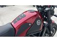 BENELLI LEONCINO 500 2019/3 - 24