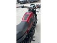 BENELLI LEONCINO 500 2019/3 - 25