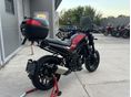 BENELLI LEONCINO 250 2019/6 - 3