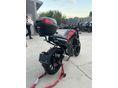 BENELLI LEONCINO 250 2019/6 - 4