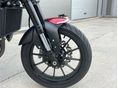 BENELLI LEONCINO 250 2019/6 - 8