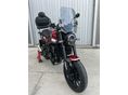 BENELLI LEONCINO 250 2019/6 - 11