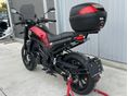 BENELLI LEONCINO 250 2019/6 - 16