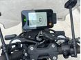 BENELLI LEONCINO 250 2019/6 - 19