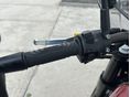 BENELLI LEONCINO 250 2019/6 - 20