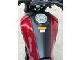 BENELLI LEONCINO 250 2019/6 - 21
