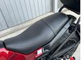 BENELLI LEONCINO 250 2019/6 - 22