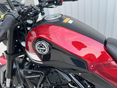 BENELLI LEONCINO 250 2019/6 - 23