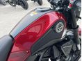 BENELLI LEONCINO 250 2019/6 - 25