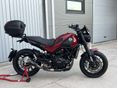 BENELLI LEONCINO 250 2019/6 - 30