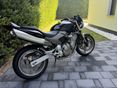 HONDA CB 600 F (HORNET) 2006/6 - 7