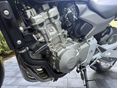HONDA CB 600 F (HORNET) 2006/6 - 10