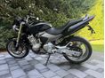 HONDA CB 600 F (HORNET) 2006/6 - 12