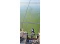 Dehler Sprinta 70 a Balatonon
