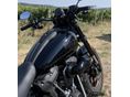 HARLEY-DAVIDSON LOW RIDER S 2024 - 6