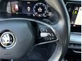 SKODA OCTAVIA 2022/4 - 16