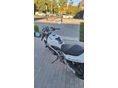 SUZUKI GSF 400 (BANDIT) 1996 - 6