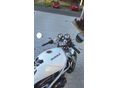SUZUKI GSF 400 (BANDIT) 1996 - 7