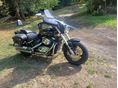 SUZUKI VZ 800 (INTRUDER) 2006/5 - 3