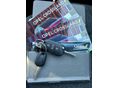 OPEL CROSSLAND 2023/5 - 17