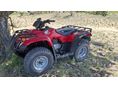HONDA TRX 250 TM 2005/9 - 2