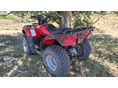 HONDA TRX 250 TM 2005/9 - 4