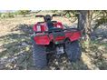 HONDA TRX 250 TM 2005/9 - 5