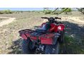 HONDA TRX 250 TM 2005/9 - 6