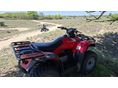 HONDA TRX 250 TM 2005/9 - 7