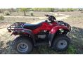 HONDA TRX 250 TM 2005/9 - 8