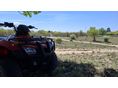 HONDA TRX 250 TM 2005/9 - 10