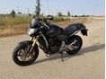 HONDA CB 600 F (HORNET) 2007/8 - 1