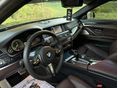 BMW 530 2016/1 - 8