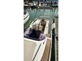 STICKL YACHTS 2016 - 4