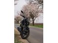 YAMAHA MT-125 2025 - 2