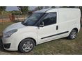 OPEL COMBO Van 1.3 CDTI L1H1 2.2t Combi
