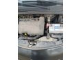 RENAULT CLIO 2005/12 - 5