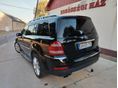 MERCEDES-BENZ GL 420 2007/12 - 10