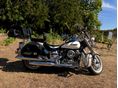 YAMAHA XVS 650 DRAG STAR CLASSIC 2006/10 - 6