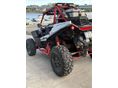 POLARIS RZR 2021/8 - 3