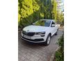 SKODA KAROQ 2019/3 - 1
