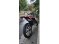 BETAMOTOR RR 50 2022 - 2