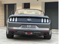 FORD MUSTANG 2016/6 - 4