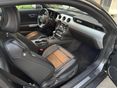 FORD MUSTANG 2016/6 - 10