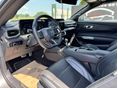 FORD MUSTANG 2024/8 - 17
