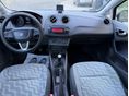 SEAT IBIZA 2010 - 8