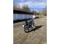 YAMAHA SR 500 1987 - 3